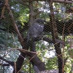 My sister-in-law is partial to owls! So of course we had to visit the owls. This was the one decent shot I got of one.