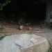 Rocks Rocks