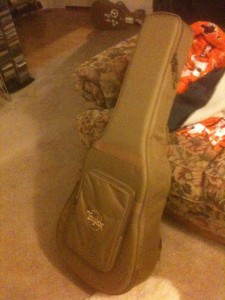 Taylor Guitar Case
