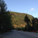 Harrison Hot Springs is Not Large 2 Harrison Hot Springs is Not Large 2