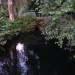 WaterwayCreek Waterway