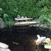 Pond at Heritage House 2 Pond at Heritage House 2