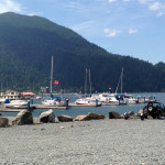 Lakeshore and Boats