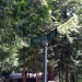 Where the Pirates Live, Presumably Where the Pirates Live, Presumably