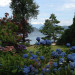 Trees and Flowers by Lake Harrison 2 Trees and Flowers by Lake Harrison 2