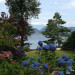 Trees and Flowers by Lake Harrison