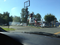 Not A Typical Cow Not A Typical Cow