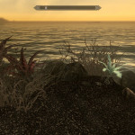 Scathecraw and Nirnroot Scathecraw and Nirnroot