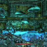 Mushroom Farm Mushroom Farm