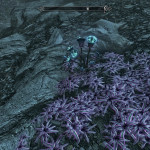 Gleamblossoms Gleamblossoms