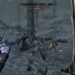 Khajiit vs. Argonian Khajiit vs. Argonian