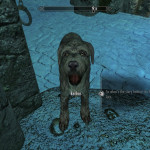 Barbas the Daedra Dog Barbas the Daedra Dog