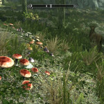 Mushroom Ring Mushroom Ring