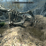 Crashed Dragon Crashed Dragon