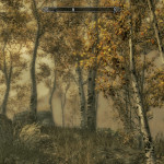 Trees Near Riften Trees Near Riften