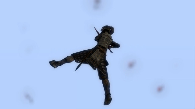 Falling into the Void Falling into the Void