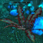 Crimson Nirnroot Crimson Nirnroot