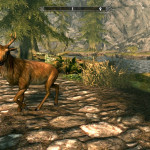 Deer Near Riverwood Deer Near Riverwood