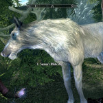 Raised White Stag Raised White Stag