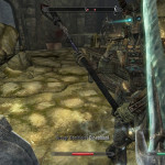 Female Draugr Deathlord Female Draugr Deathlord