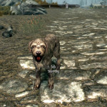 A Good Boy A Good Boy