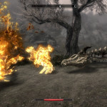 Double Dragon Flambee Double Dragon Flambee